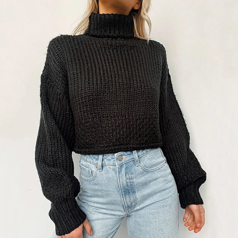 Turtle Neck Cropped Knit Sweater LB20
